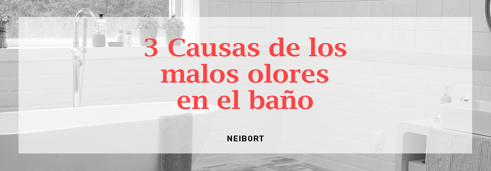 causas malos olores en el baño vila-real