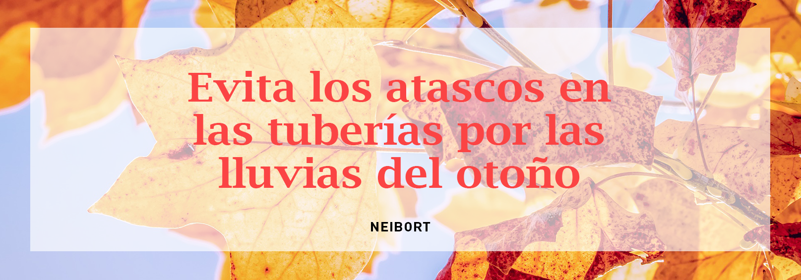 atascos de tuberias en otoño vila-real